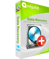 Image of AVT000 Amigabit Data Recovery ID 4604045