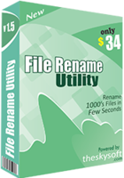 Image of AVT000 File Rename Utility ID 4638325