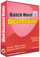 Image of AVT100 Batch Word Document Binder ID 4650221