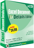 Image of AVT100 Excel Document Details Editor ID 4651350