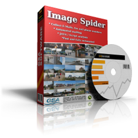 Image of AVT100 GSA Image Spider ID 4607543