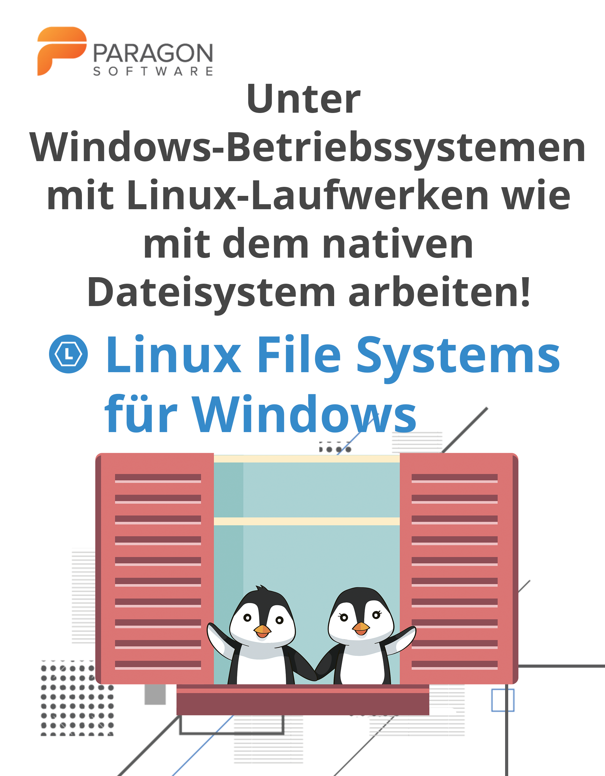 Image of DE Linux File Systems für Windows von Paragon Software